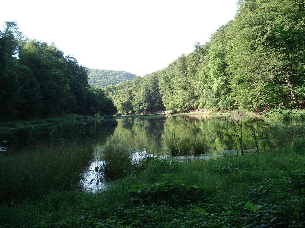 Seoski Turiziam Larva Trenkovo Exterior photo