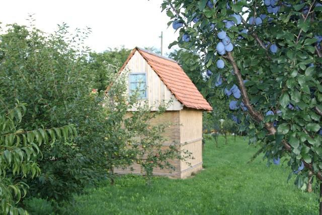 Seoski Turiziam Larva Trenkovo Exterior photo