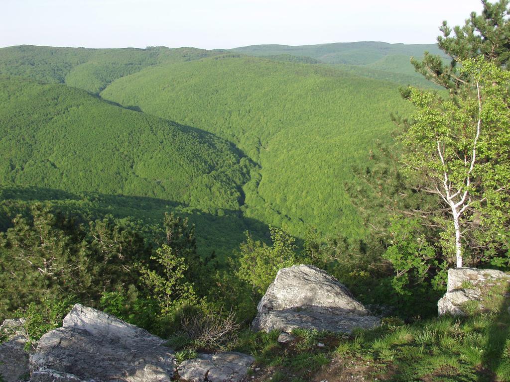 Seoski Turiziam Larva Trenkovo Exterior photo